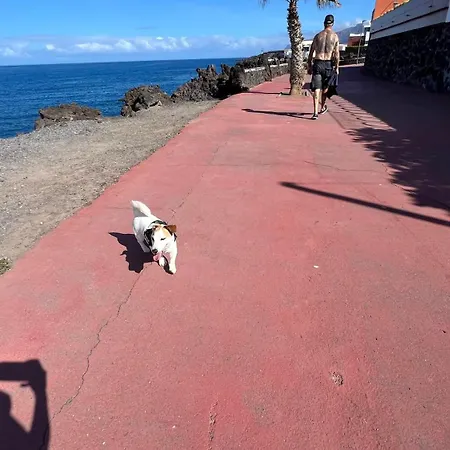 Lejlighed In The Center Of San Juan Beach! *