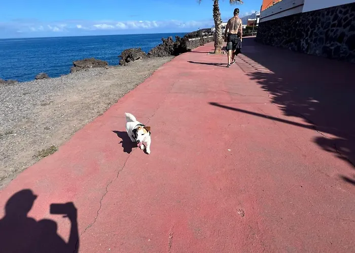 아파트 In The Center Of San Juan Beach! *